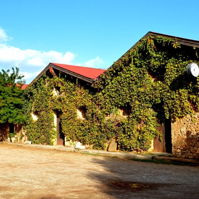 Domaine Mercouri Winery - Katákolon, Greece