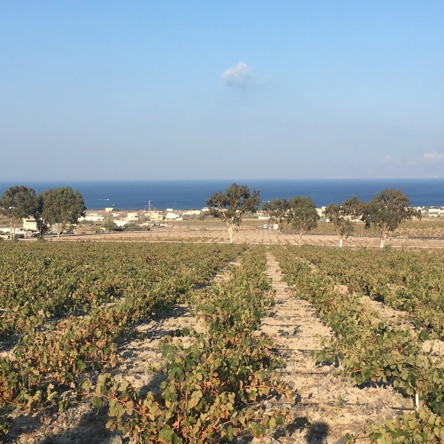 Venetsanos Winery - Santorini, Greece