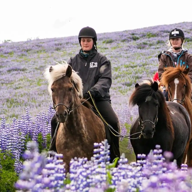 Exploring-Icelands-Landscape-On-Horseback_