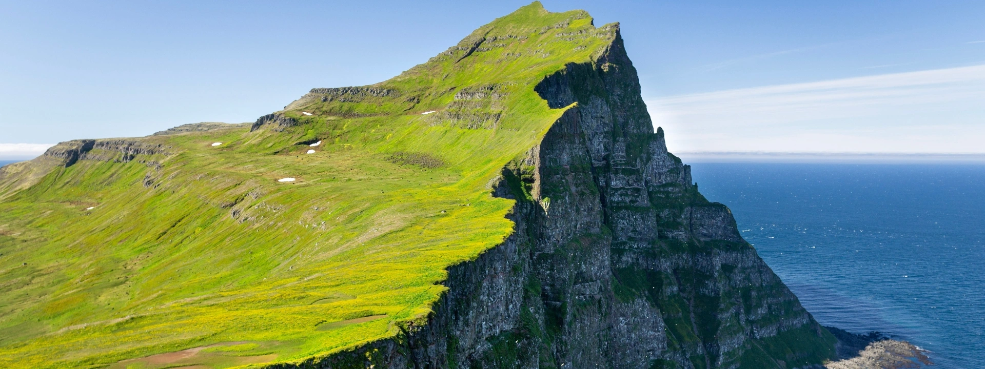 Isafjordur-Iceland-Hornbjarg-Cliffs-in-Hornstrandir-Nature-Reserve-with-Blossoming-Flowers-Westfjords-North-East-Iceland